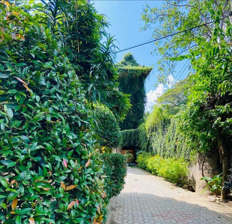 Udf Nature Villa 康提 外观 照片